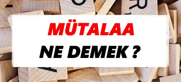 Mütalaa Ne Demek