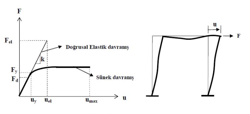 Süneklik Nedir